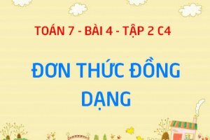 Đơn thức đồng dạng là gì? Cách cộng trừ các đơn thức đồng dạng - Toán 7 bài 4 tập 2 chương 4